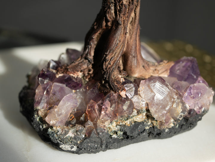 Quartz Tree with Amethyst Base