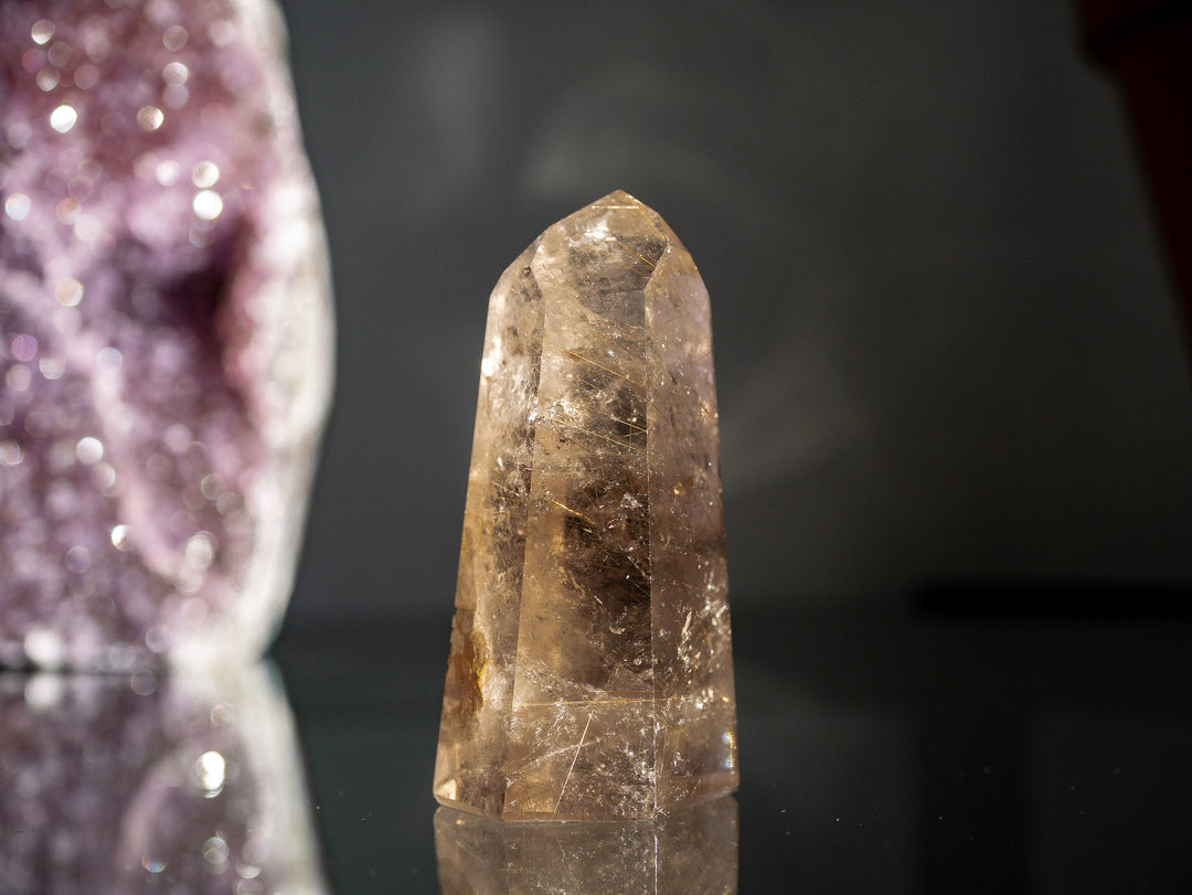 Smoky Citrine with Golden Rutile Point