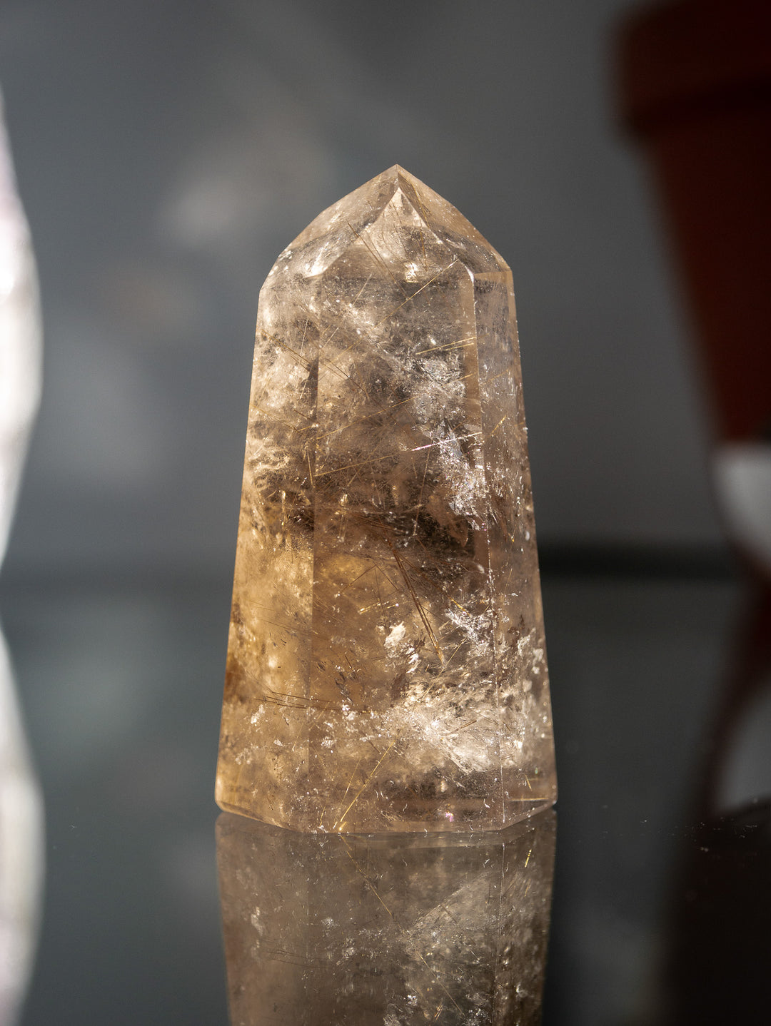 Smoky Citrine with Golden Rutile Point