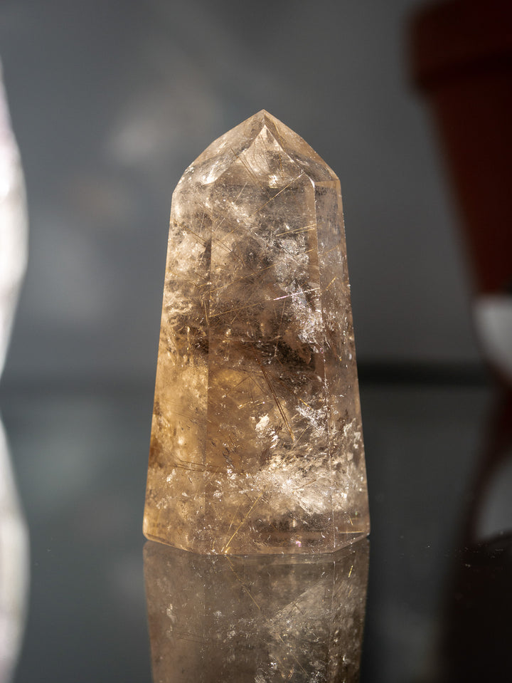 Smoky Citrine with Golden Rutile Point