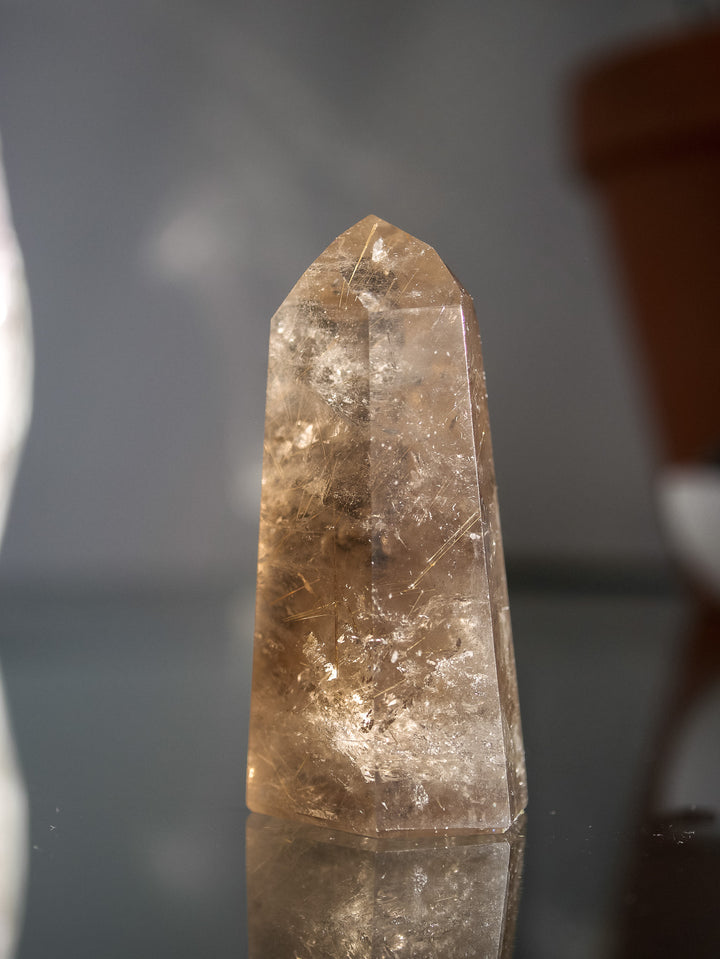 Smoky Citrine with Golden Rutile Point