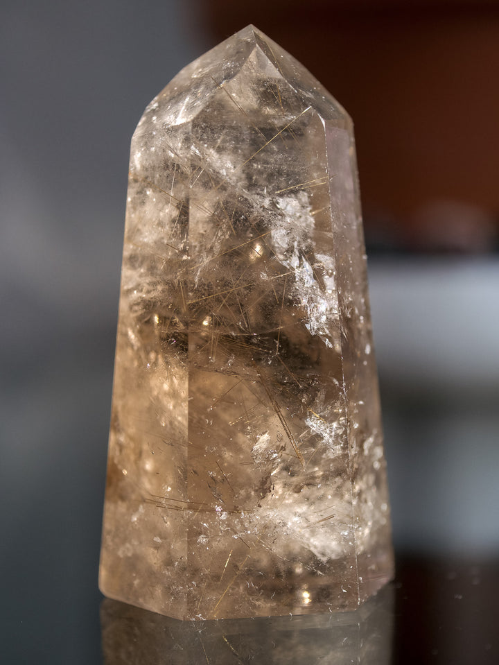 Smoky Citrine with Golden Rutile Point