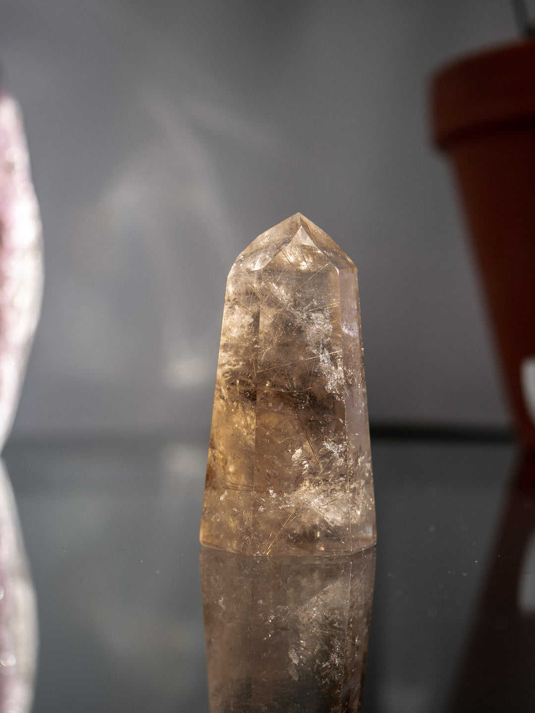 Smoky Citrine with Golden Rutile Point