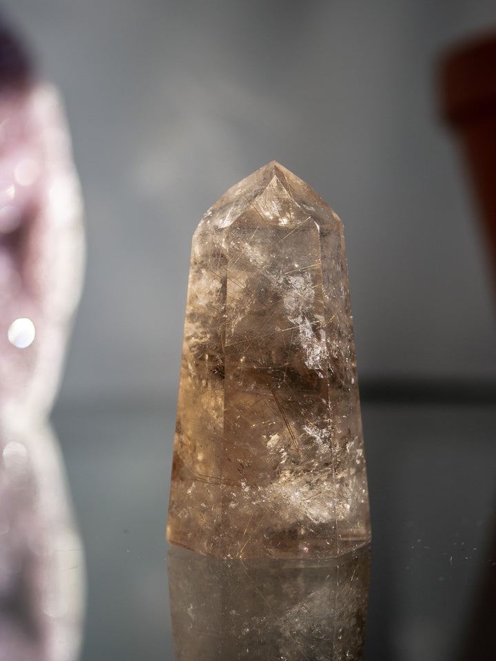 Smoky Citrine with Golden Rutile Point