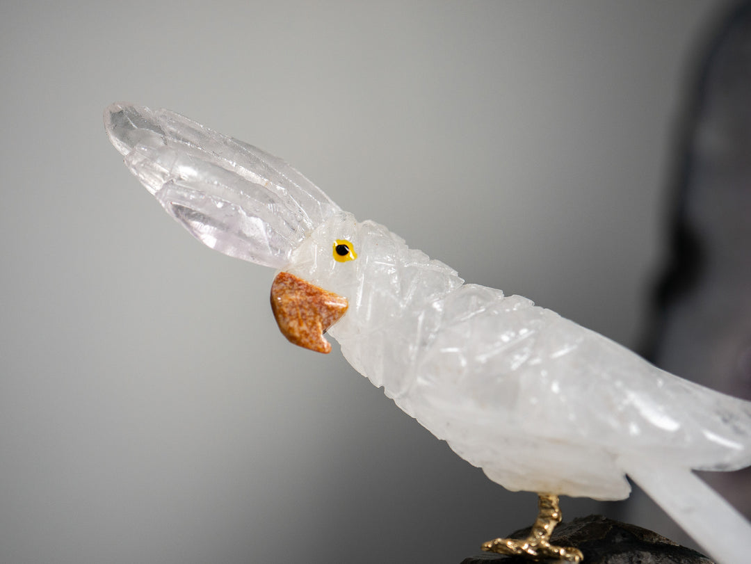 Quartz Parrot on Amethyst Cluster