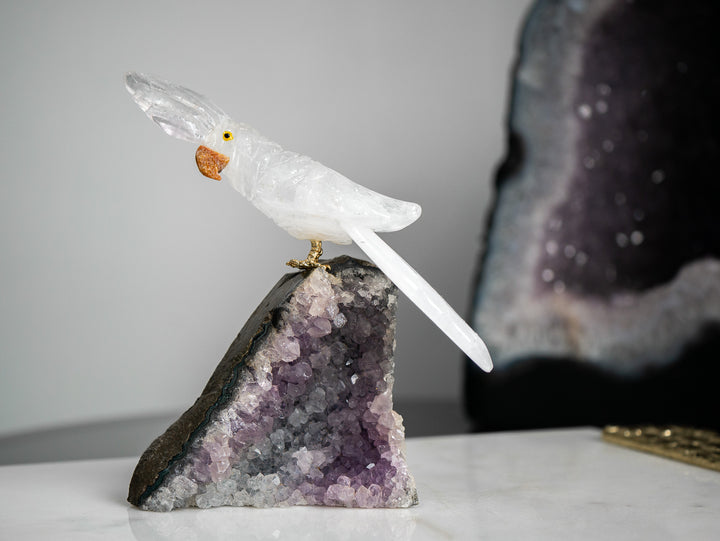 Quartz Parrot on Amethyst Cluster