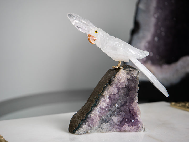 Quartz Parrot on Amethyst Cluster