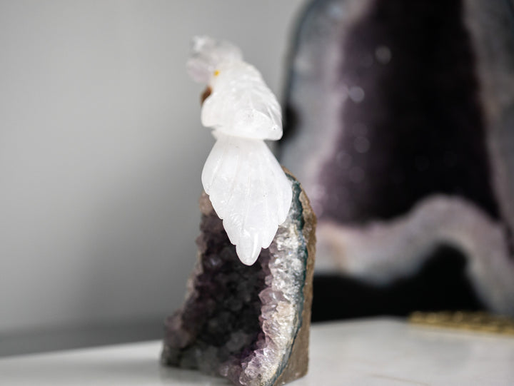 Quartz Parrot on Amethyst Cluster