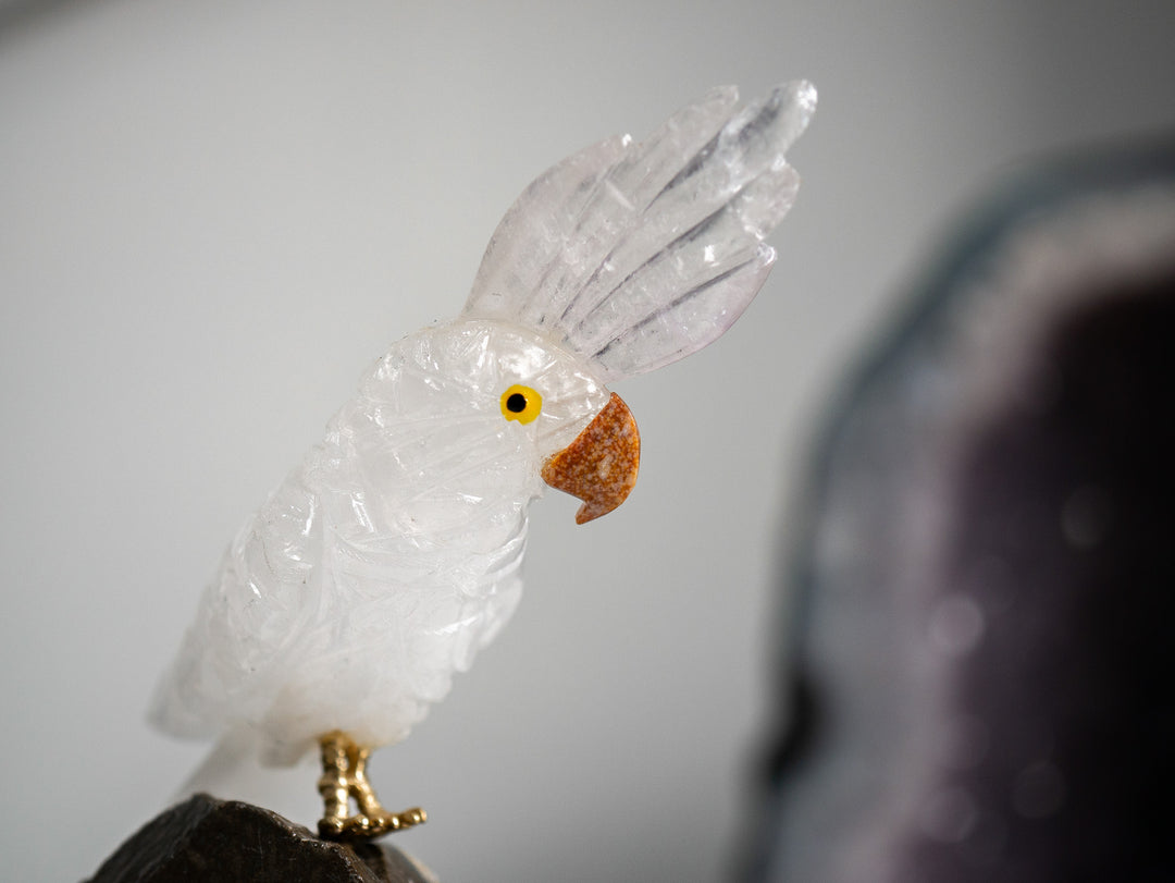 Quartz Parrot on Amethyst Cluster