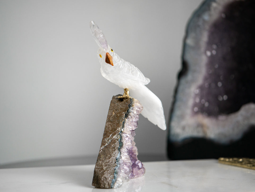 Quartz Parrot on Amethyst Cluster