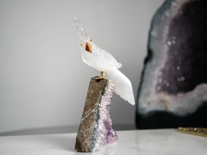 Quartz Parrot on Amethyst Cluster