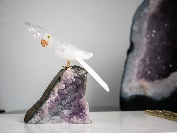 Quartz Parrot on Amethyst Cluster