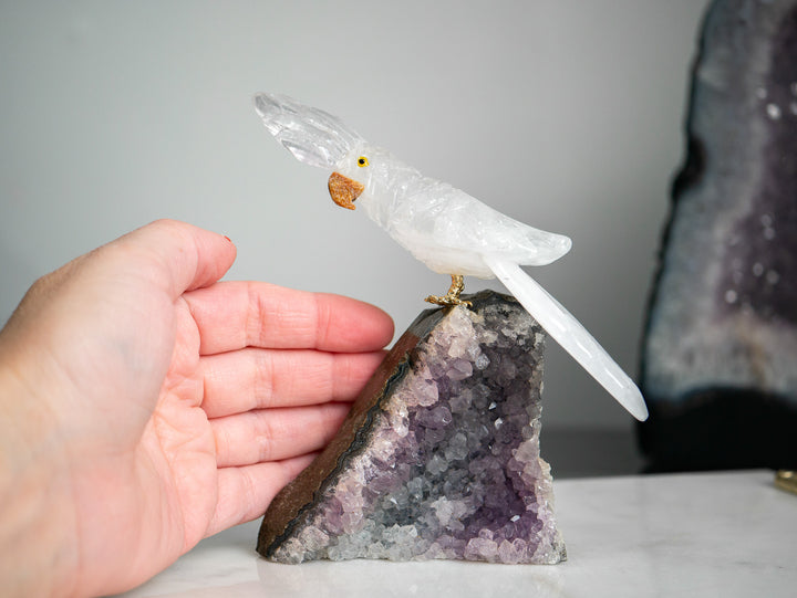 Quartz Parrot on Amethyst Cluster