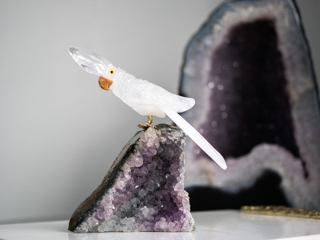 Quartz Parrot on Amethyst Cluster