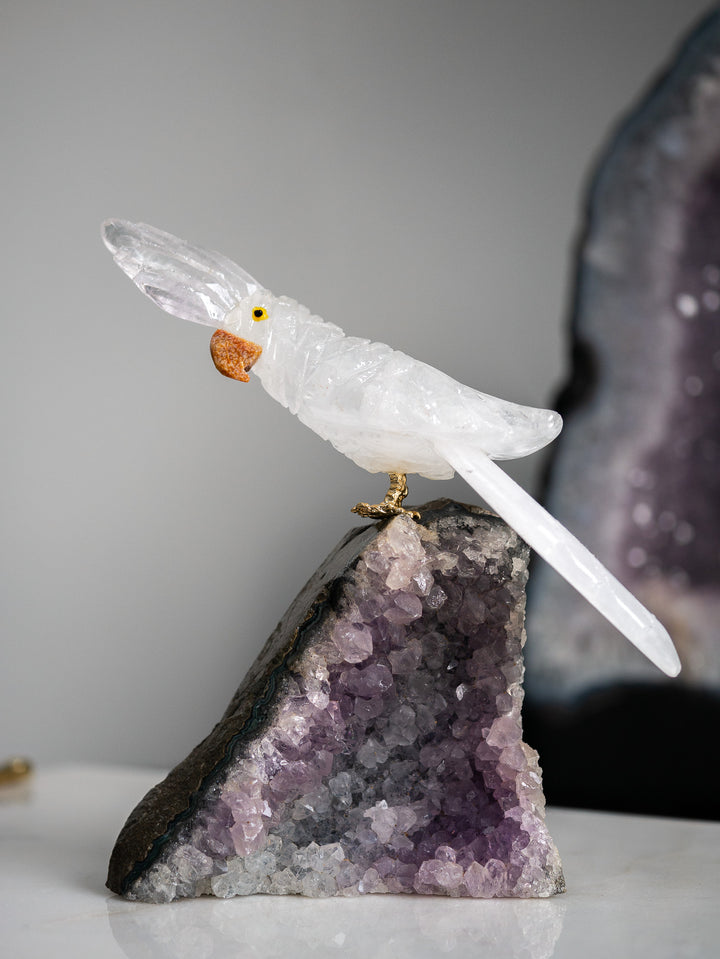 Quartz Parrot on Amethyst Cluster