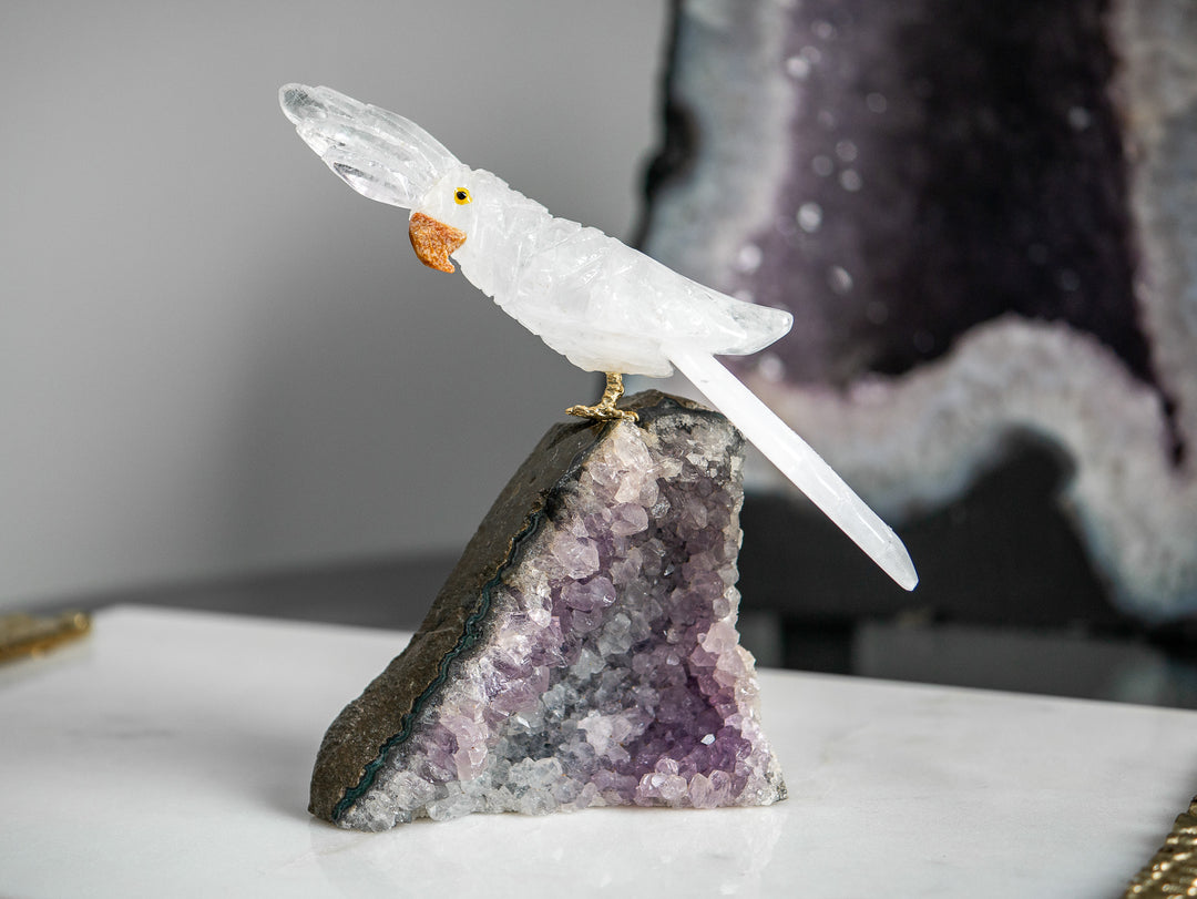 Quartz Parrot on Amethyst Cluster