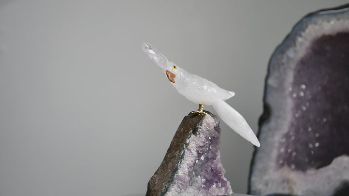 Quartz Parrot on Amethyst Cluster