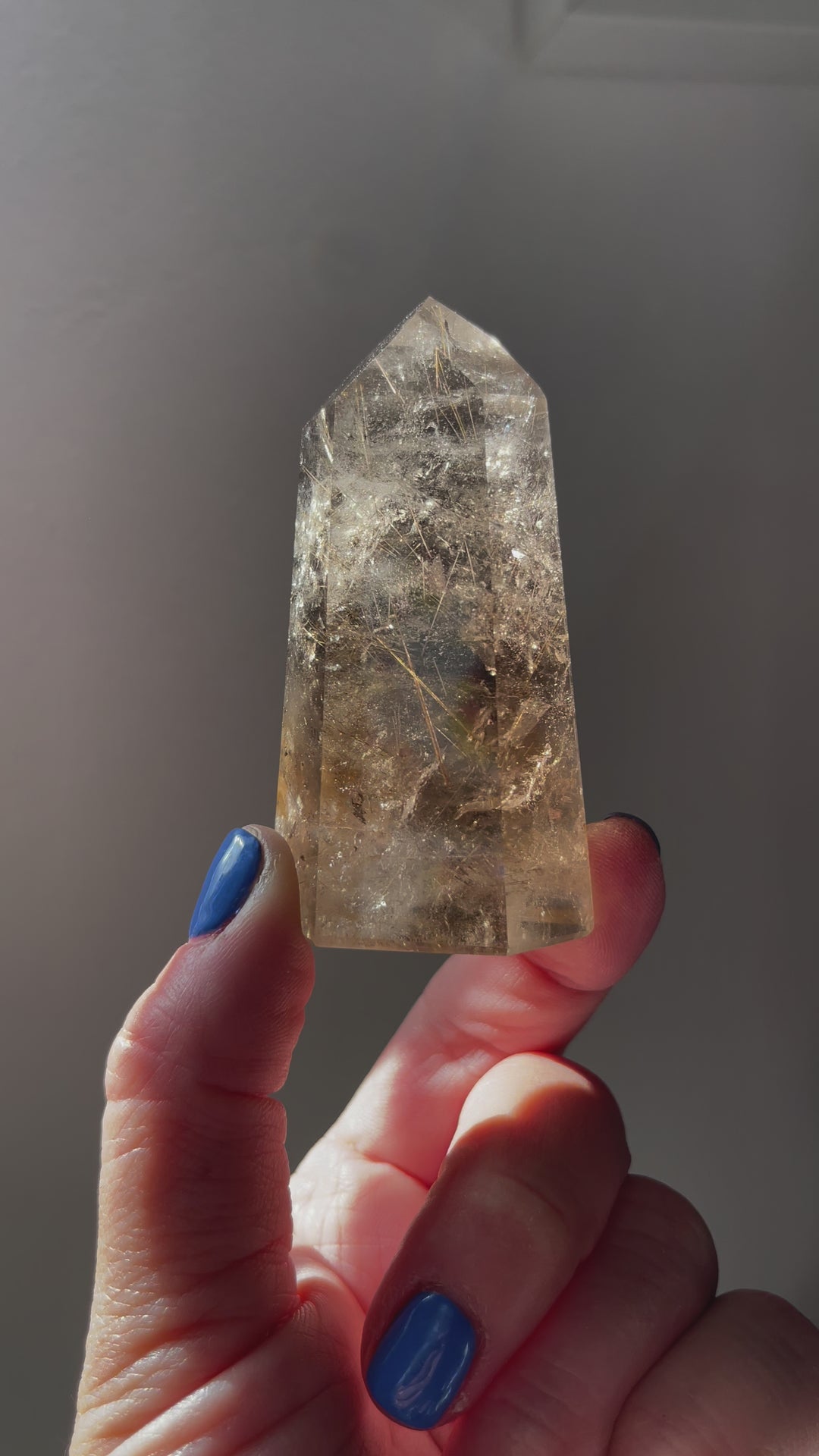 Smoky Citrine with Golden Rutile Point