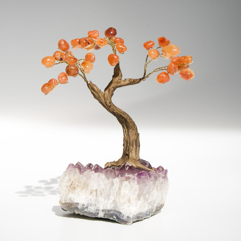 Feng Shui Tree of Life | Amethyst Base & Carnelian Crystal Petals