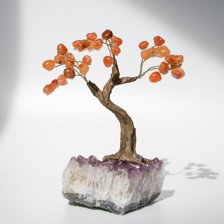 Feng Shui Tree of Life | Amethyst Base & Carnelian Crystal Petals